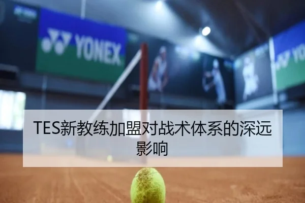 TES新教练加盟对战术体系的深远影响